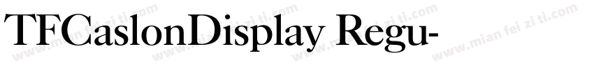 TFCaslonDisplay Regu字体转换
